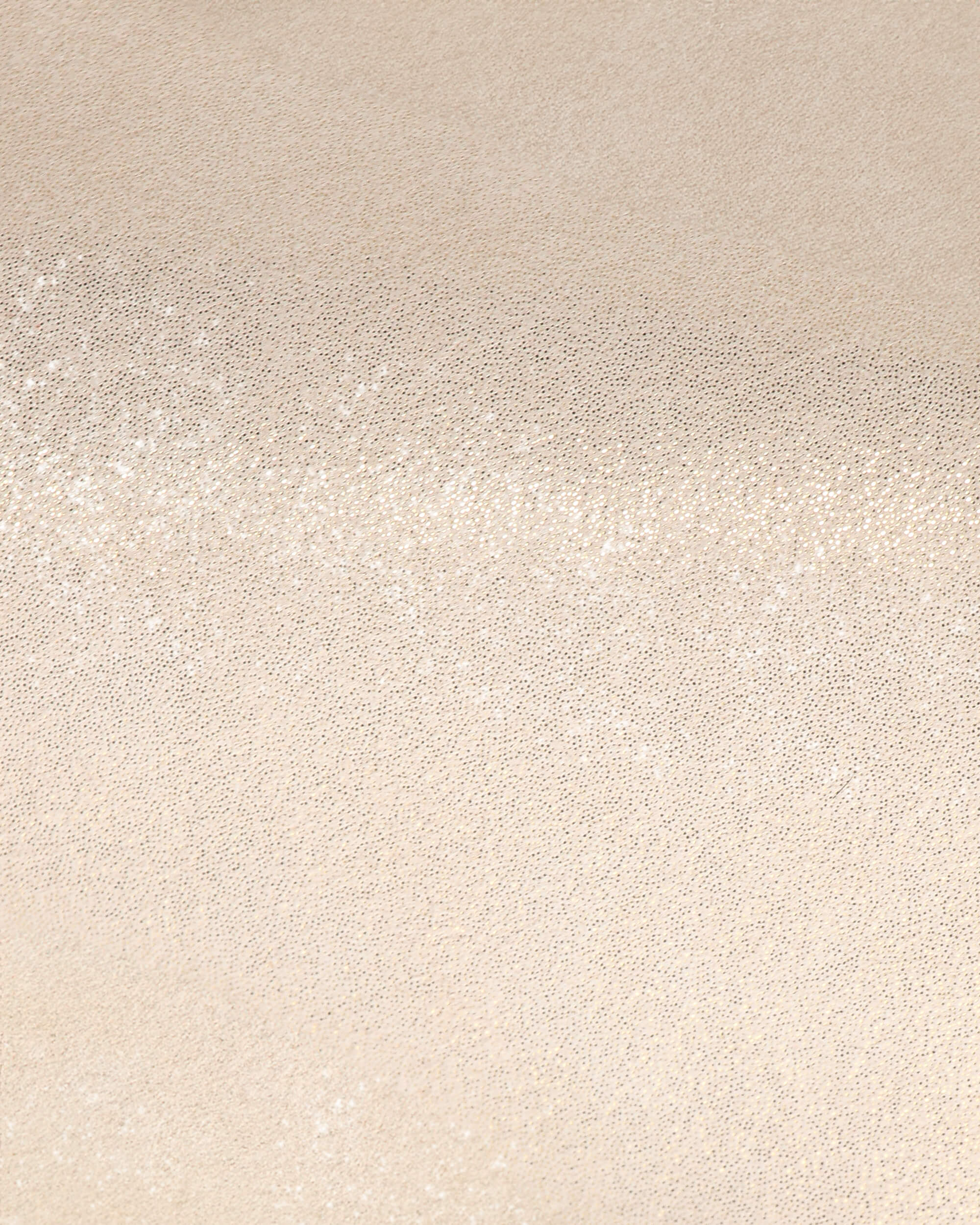 Cendrillon バレエフラット - EUサイズ｜ | シューズ | Repetto